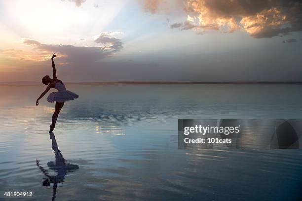 aesthetic dancing on the beach - ballerina stockfoto's en -beelden