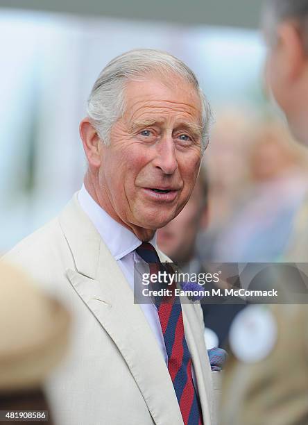 Prince Charles, Prince Of Wales attends the Royal Salute Coronation Cup at Guards Polo Club on July 25, 2015 in Egham, England.