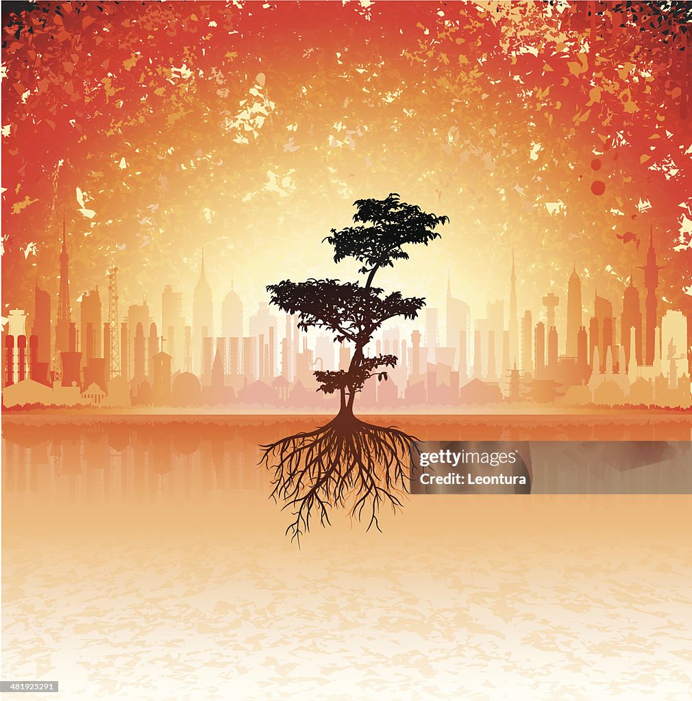 City Inside Tree Tree In The City High-Res Vector Graphic - Getty Images