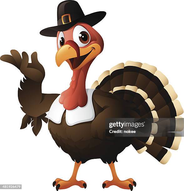 cartoon graphics of pilgrim turkey - thanksgiving vector stock illustrations