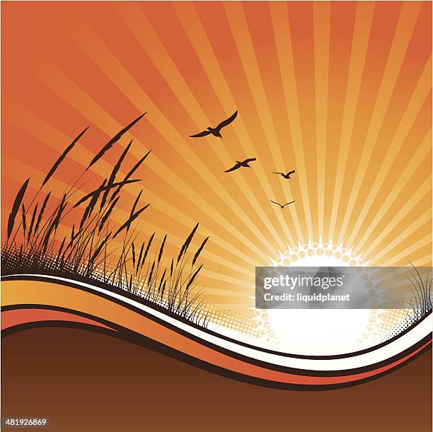 bei sonnenuntergang - sanddüne stock-grafiken, -clipart, -cartoons und -symbole