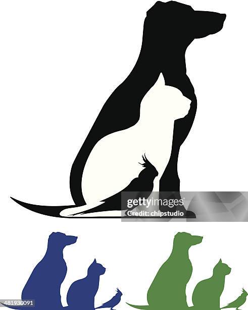 ilustrações, clipart, desenhos animados e ícones de silhueta de animais de estimação - periquito australiano