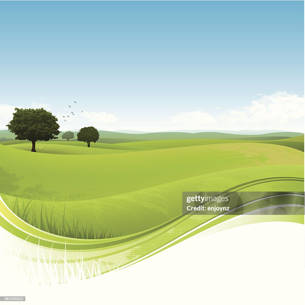 Flowing green field