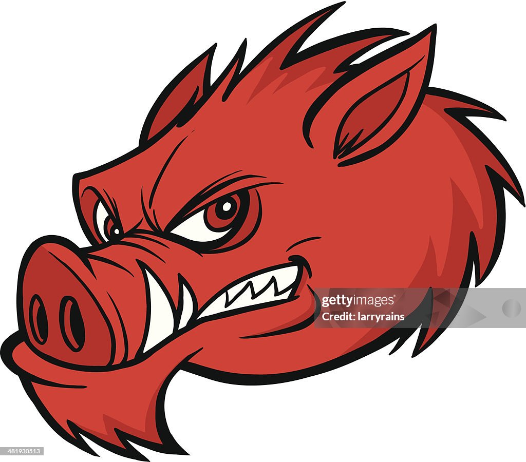 Mascot Razorback