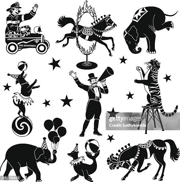 ilustrações, clipart, desenhos animados e ícones de circus caracteres - foca
