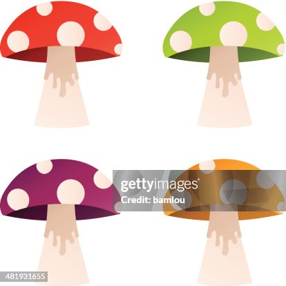 Mushroom group Mushroom group