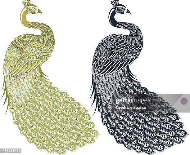 peacock - pfau stock-grafiken, -clipart, -cartoons und -symbole