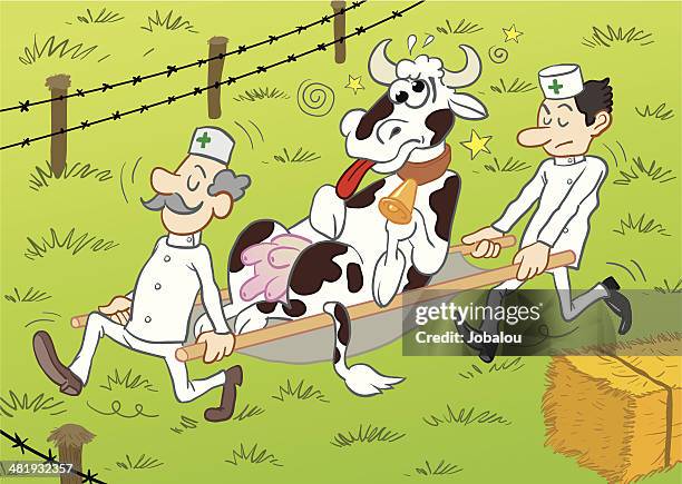 crazy cow goes to hospital - bale stock illustrations