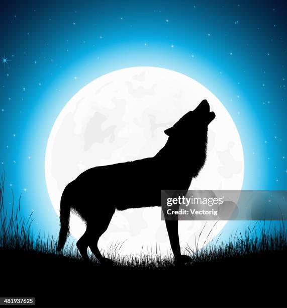 ilustrações de stock, clip art, desenhos animados e ícones de lobo uivando - wolf wallpaper