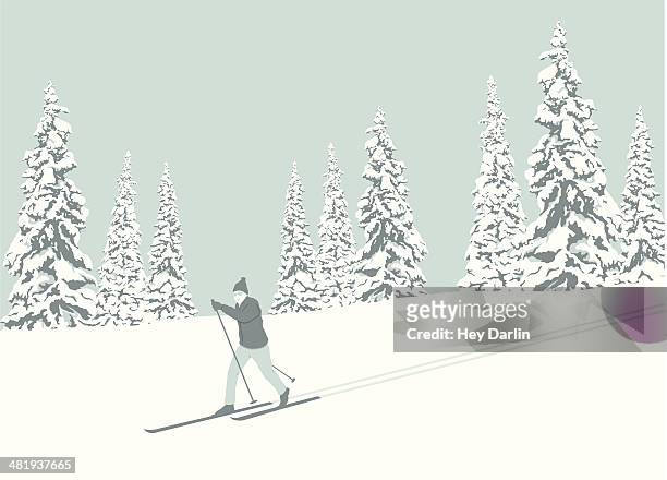 cross country ski - cross country skis stock-grafiken, -clipart, -cartoons und -symbole