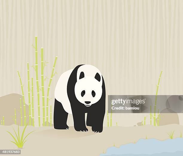 ilustraciones, imágenes clip art, dibujos animados e iconos de stock de oso panda en la naturaleza - panda