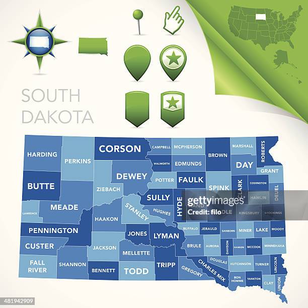 south dakota county map - south dakota stock illustrations
