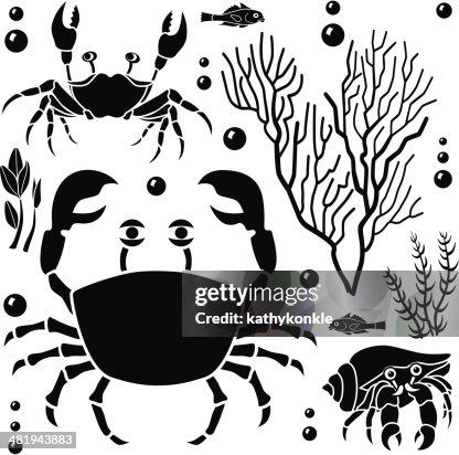 Crab design elements Crab design elements