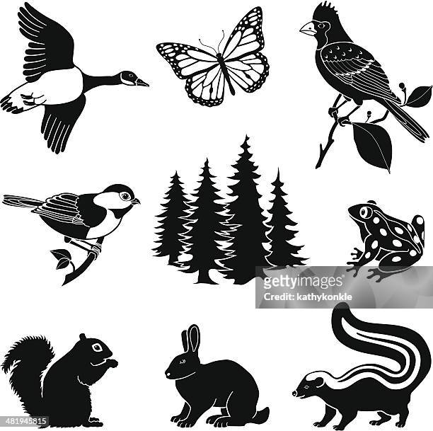 woodland animals - coniferous tree stock illustrations