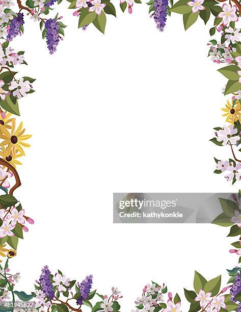 ilustrações de stock, clip art, desenhos animados e ícones de fronteira de flor moldura - canteiro de flores
