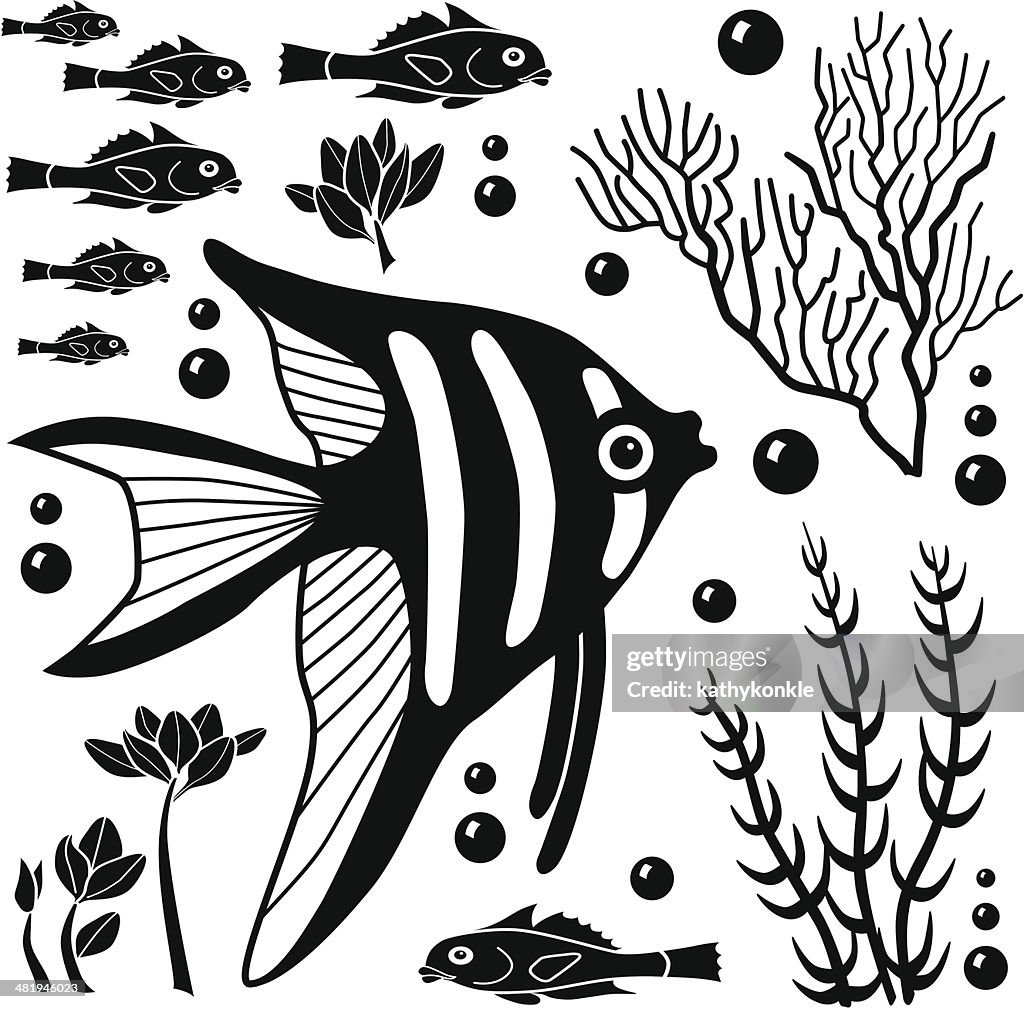 Sea Creatures Layout Sea Creatures Design Elements High-Res Vector Graphic - Getty Images