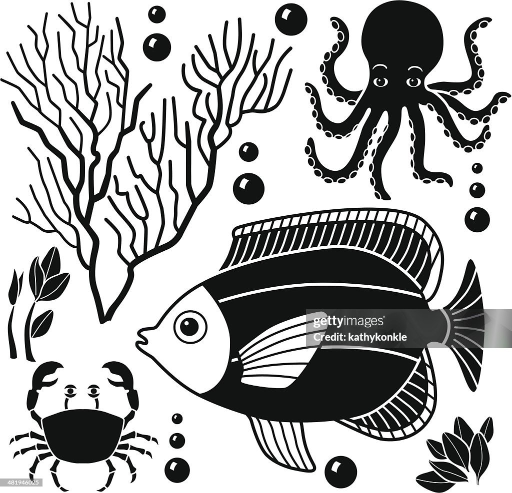 Sea Creatures Layout Sea Creatures Design Elements High-Res Vector Graphic - Getty Images