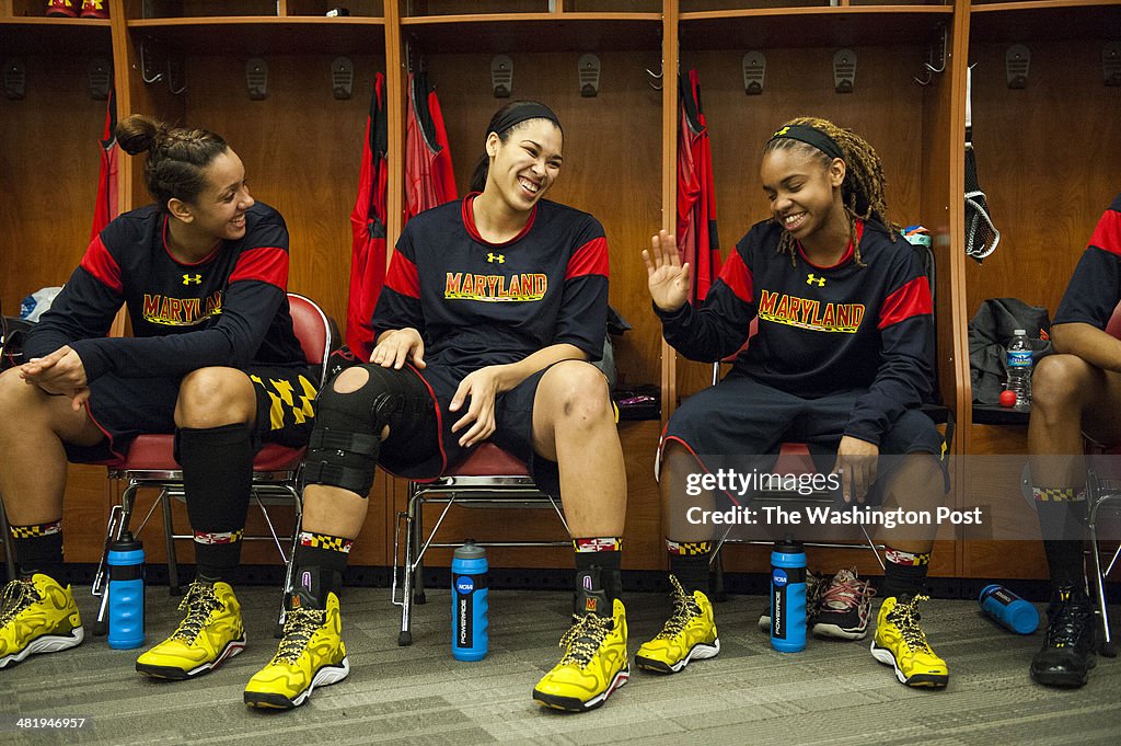 Maryland Terrapins take on the Louisville Cardinals in the Women's NCAA Tournament Elite Eight
