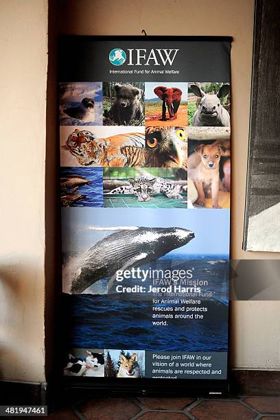 General view of the atmosphere at an evening with Azzedine Downes, President and CEO of the International Fund for Animal Welfare at Porta Via...