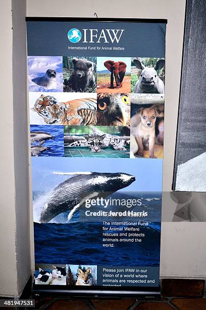 General view of the atmosphere at an evening with Azzedine Downes, President and CEO of the International Fund for Animal Welfare at Porta Via...