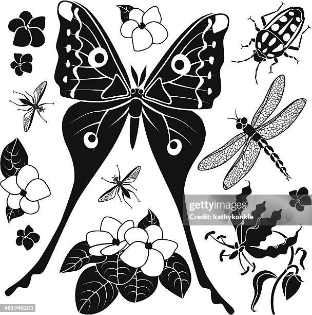 tropical insects and plants - african violet flower stock illustrations