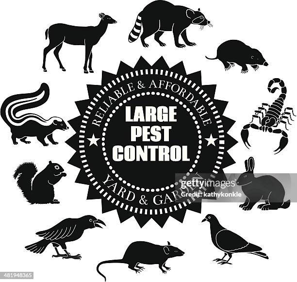 Large Pest Animals High-Res Vector Graphic - Getty Images