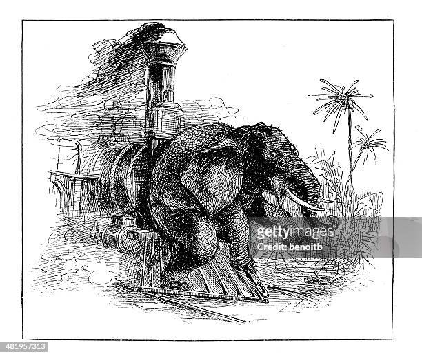 bildbanksillustrationer, clip art samt tecknat material och ikoner med elephant pushed by train - cowcatcher