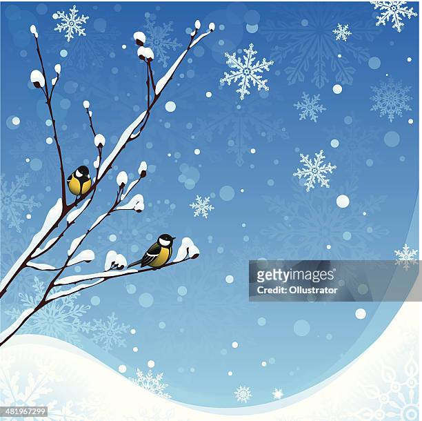 winter background with birds - tit stock illustrations