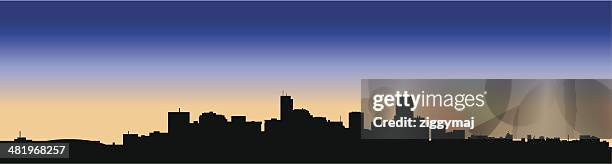 denver skyline at dusk - denver skyline stock illustrations