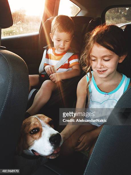 family trip - family children dog stock pictures, royalty-free photos & images