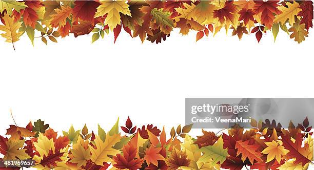 bildbanksillustrationer, clip art samt tecknat material och ikoner med fall border - höstlövverk