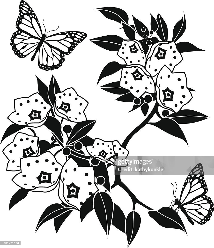 Mountain laurel und monarch Schmetterlinge