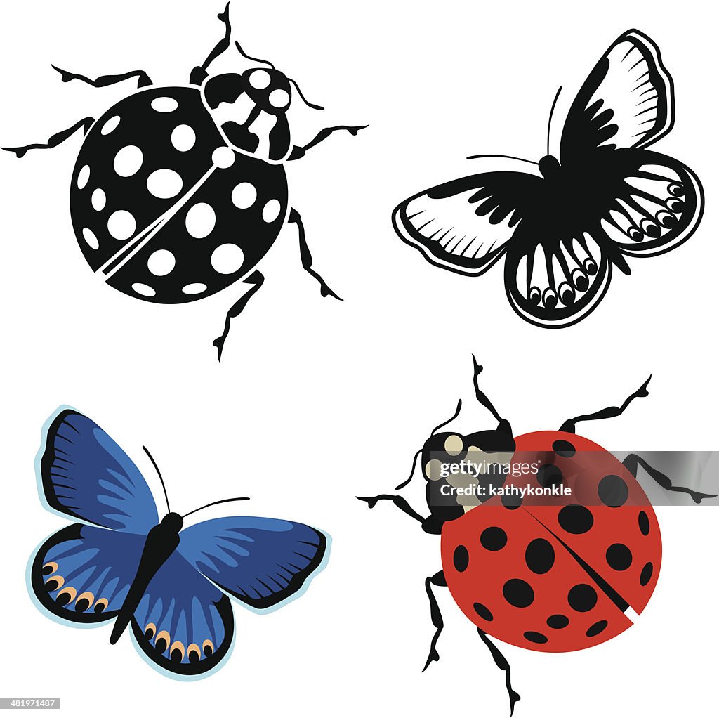 Ladybug Insect Vector Art Black And White Ladybug Clip Art