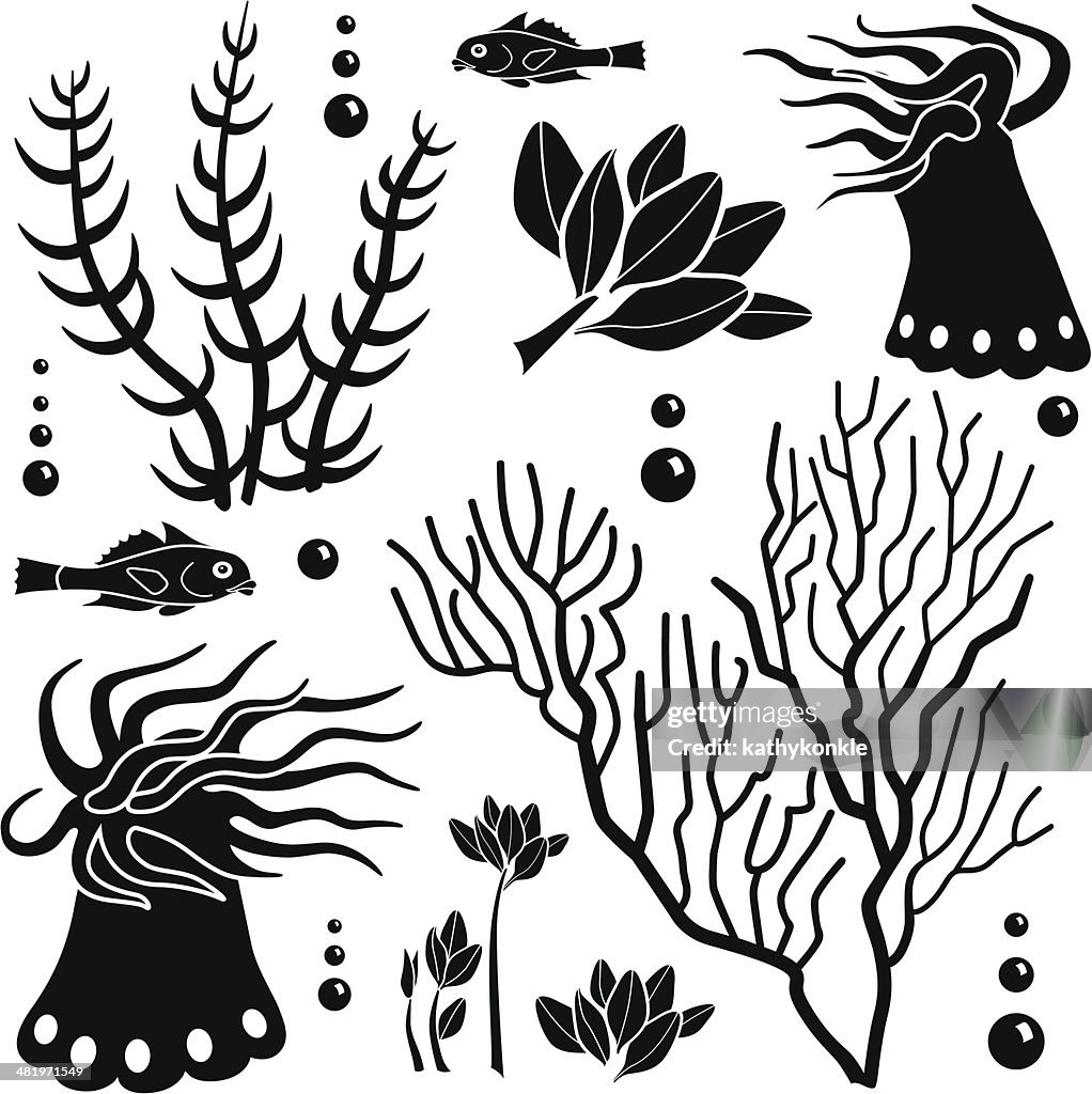 Sea Creatures Layout Sea Creatures Design Elements High-Res Vector Graphic - Getty Images