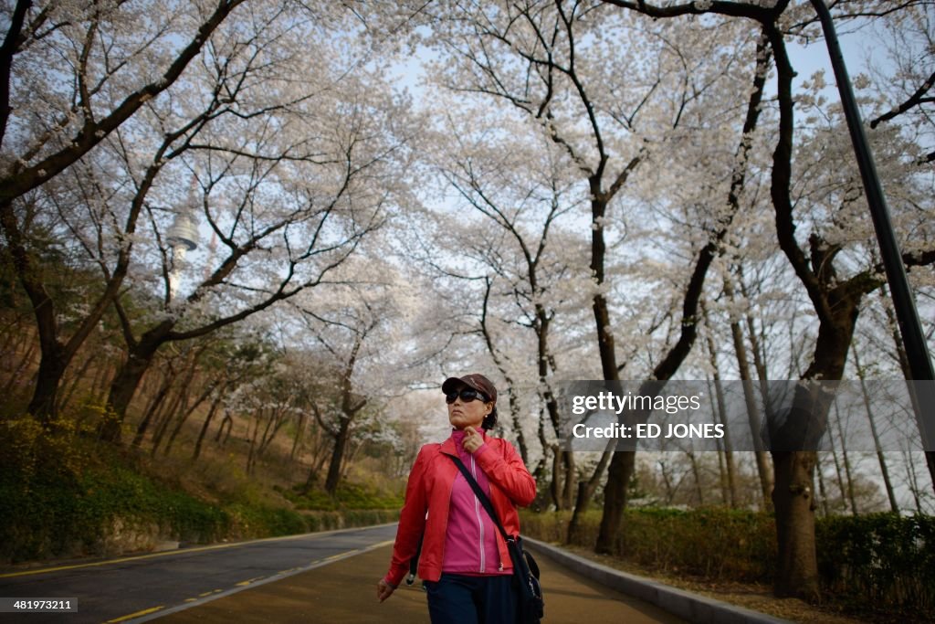 SKOREA-WEATHER-SPRING