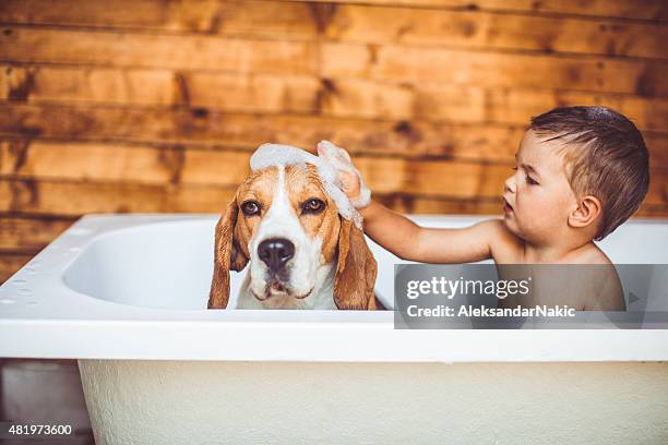 lassen sie die klare - boy with dog stock-fotos und bilder