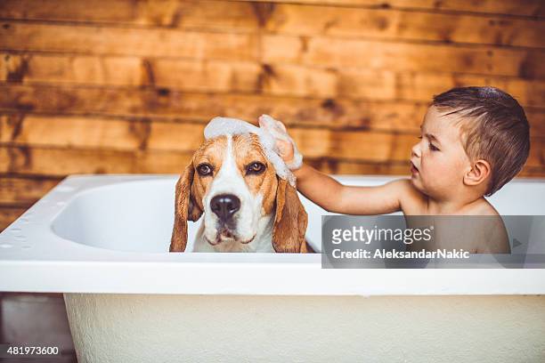 let's clean you up - taking a bath stock pictures, royalty-free photos & images