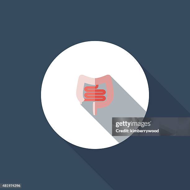 intestine - human small intestine stock illustrations