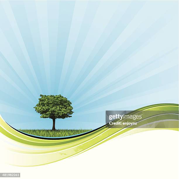 radiant nature background - clean environment background stock illustrations