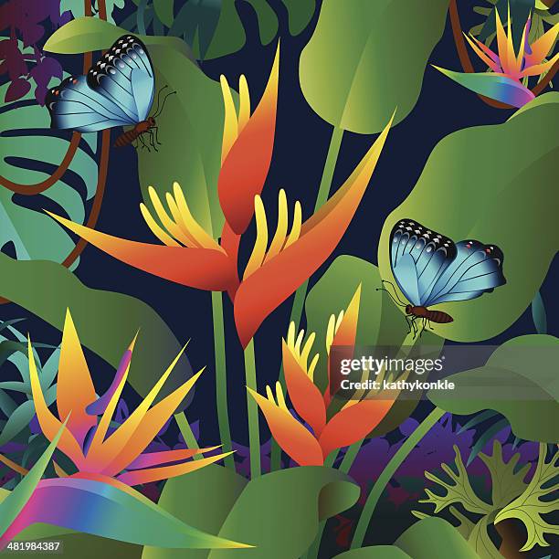 orange heliconia und morpho schmetterlinge - heliconia stock-grafiken, -clipart, -cartoons und -symbole