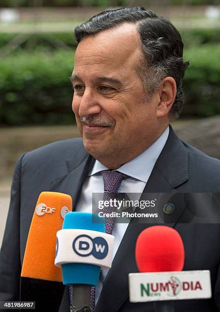 Egyptian Minister of Foreign Affairs Nabil Fahmy arrives at the 4th EU-Africa Summit on April 2, 2014 in Brussels, Belgium. There is a special crisis...