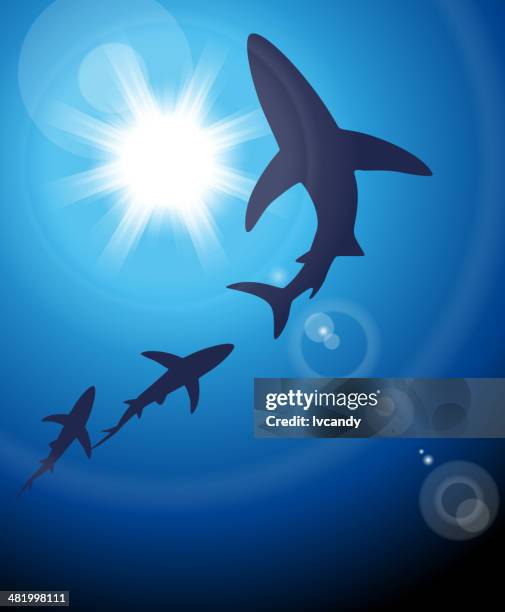 761 Ilustraciones de Tiburon Blanco - Getty Images 761 Ilustraciones de Tiburon Blanco - Getty Images