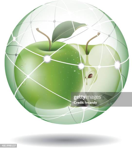 fresh apple - granny smith apple stock illustrations