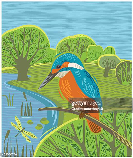 countryside scene with kingfisher - kingfisher river stock illustrations