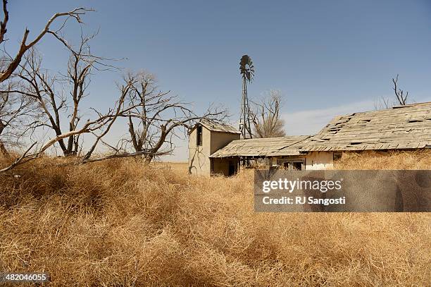 Tumbleweeds pile up around an abandoned home in Haswell, Tuesday, April 01, 2014. Massive dust Storms that bedeviled the region last year are back...
