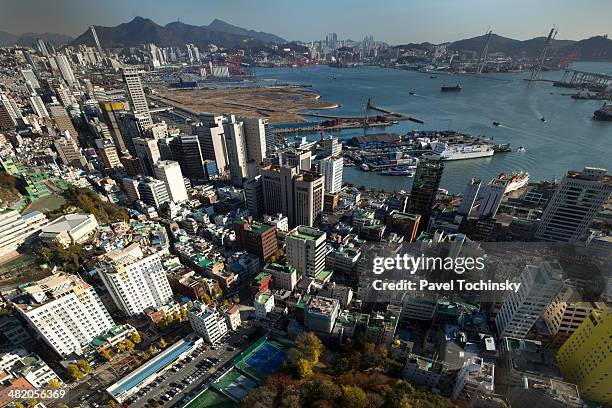 busan port seen from busan tower - busan - fotografias e filmes do acervo