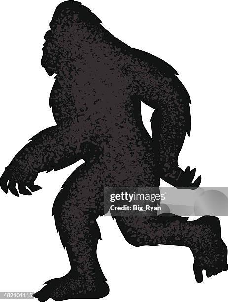 bildbanksillustrationer, clip art samt tecknat material och ikoner med walking bigfoot silhouette - bigfoot