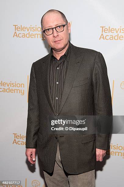 James Spader attends an evening with "The Blacklist" at Florence Gould Hall on April 2, 2014 in New York City.