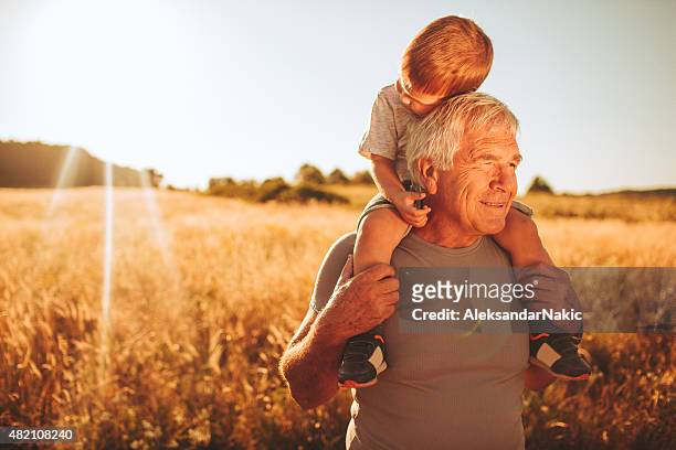spending time with my grandson - carrying on shoulders stock pictures, royalty-free photos & images