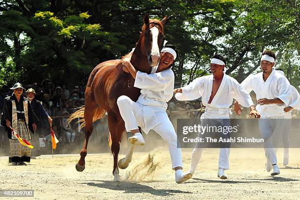 Men wearing white clothes called 'Okobito' try to capture a bareback horse with bare hands during the 'Nomakake ' ritual to dedicate horses to the...